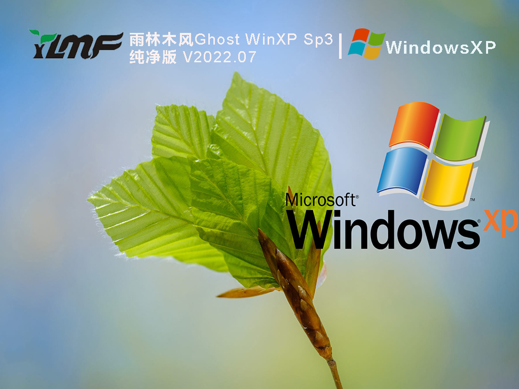 winxp