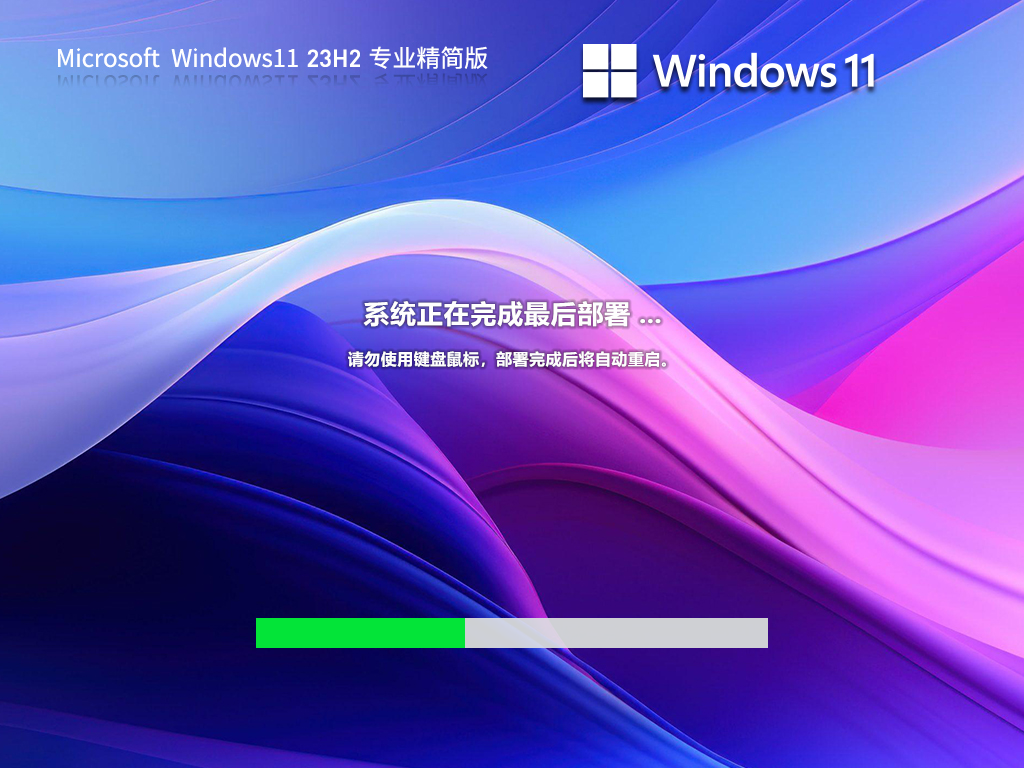 Win11 23H2 64位 专业精简版